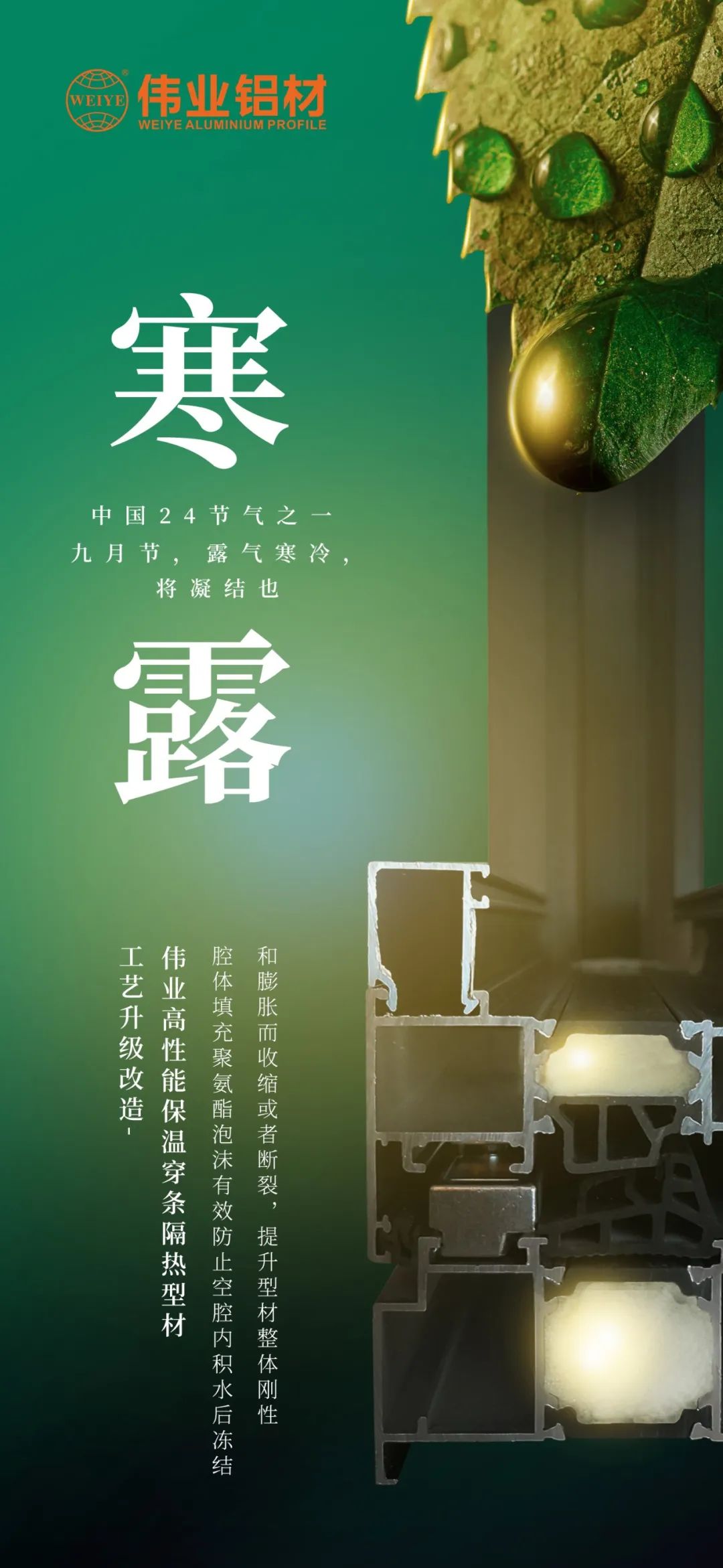 #寒露 九月节，，，，，露气严寒，，，，，将凝聚也 时光入深秋，，，，，岁月便深情